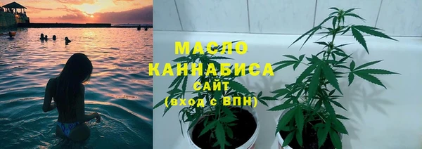 сатива Алексеевка